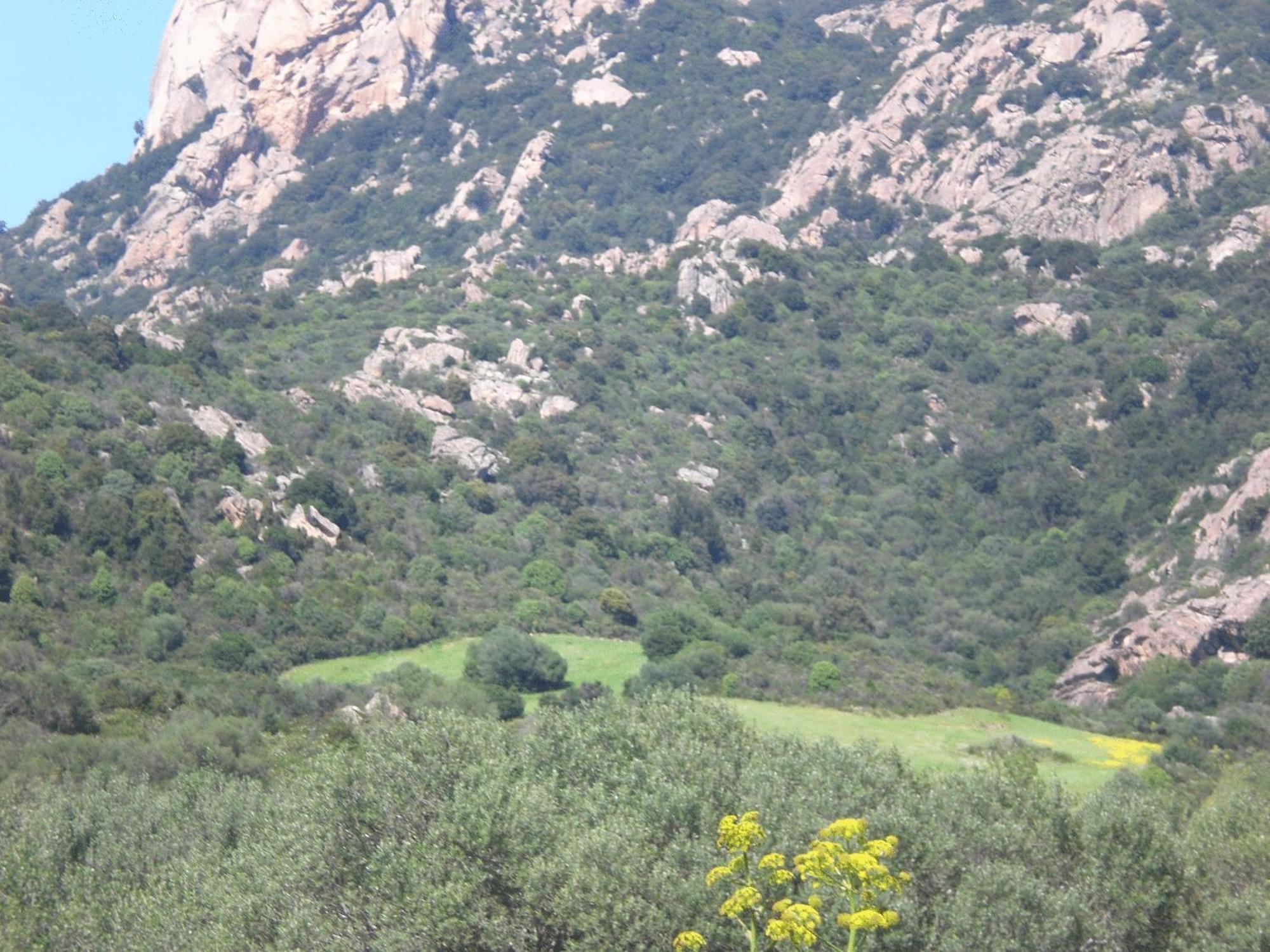 Hotel Turismo Rurale Montitundu Portisco Εξωτερικό φωτογραφία