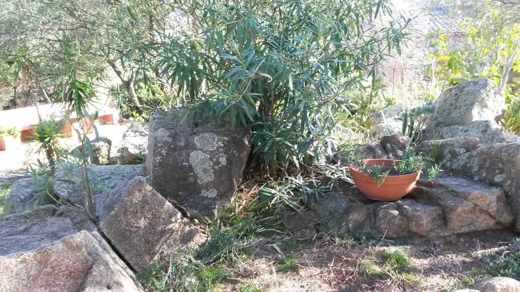 Hotel Turismo Rurale Montitundu Portisco Εξωτερικό φωτογραφία